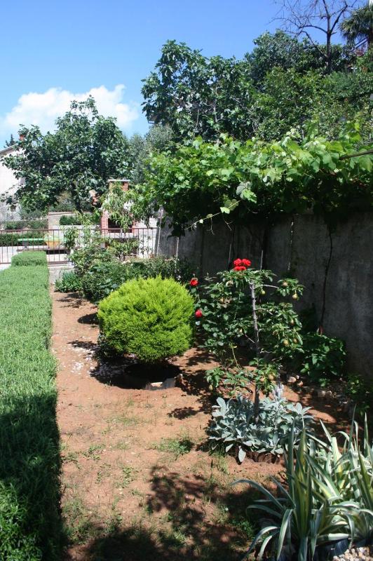 Family-friendly apartments with swimming pool Crikvenica - 5489 - image 12