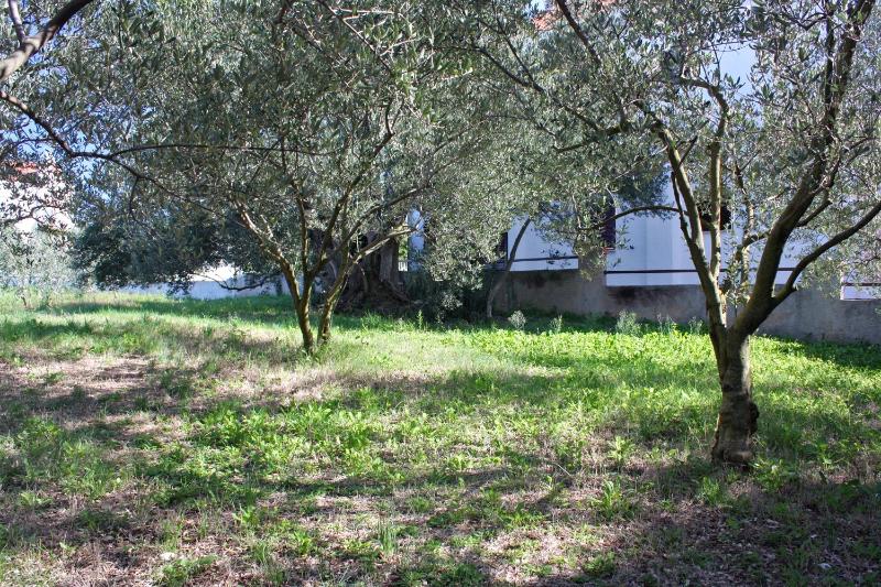 Apartment Bibinje 5769a - image 20