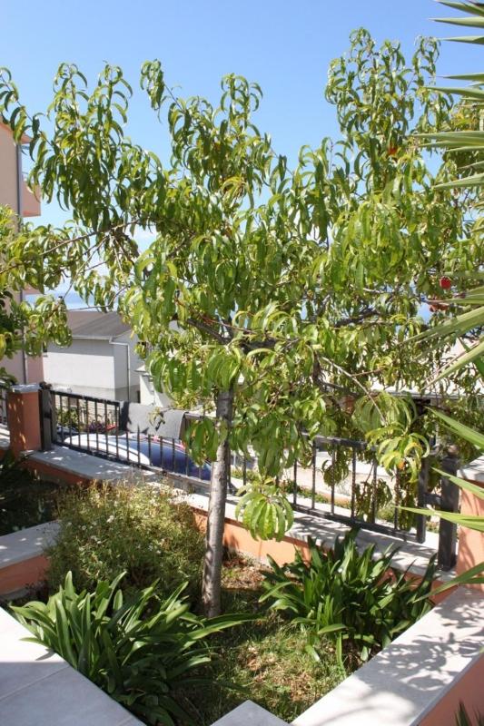 Apartments with parking space Podgora Makarska - 6911 - image 10