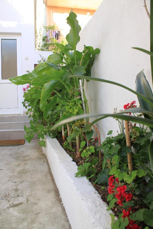 Apartments with parking space Baska Voda Makarska - 6854 - image 12