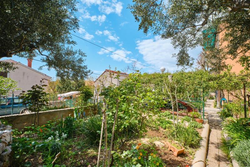Apartments with a parking space Mali Losinj (Losinj) - 7972 - image 6