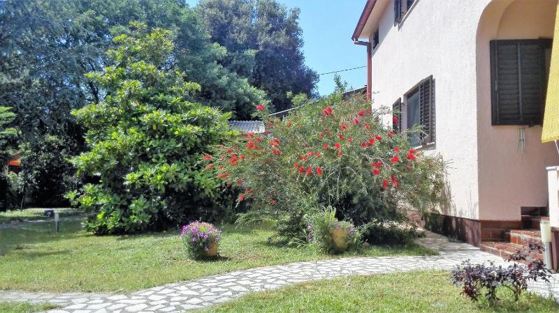 Apartments with parking space Barbariga Fazana - 11193 - image 7