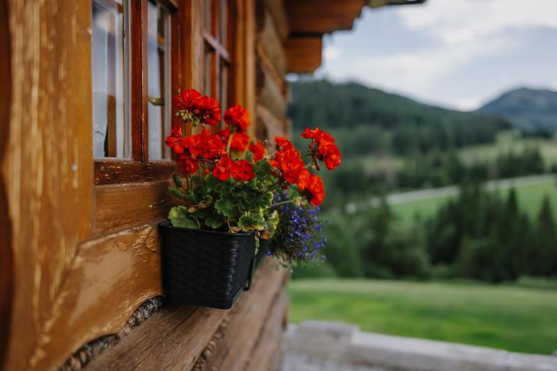 Chaty v Ráztoke - image 19