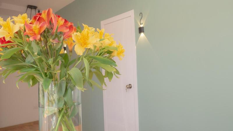 Private Cozy Room-Shared Bathroom-Old Town Quito-Rooftop Cathedral Views - image 13