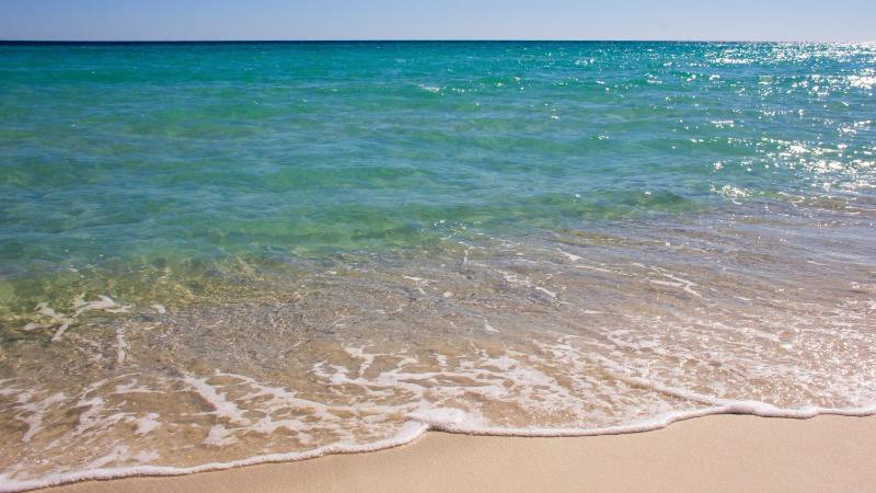 Sandy Bottoms - image 44