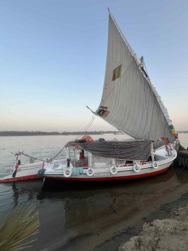 Felucca welcome sailing - image 10