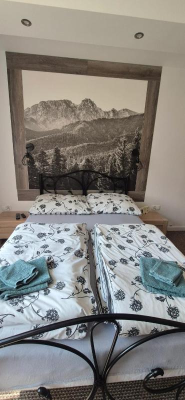 Cozy Apartment in Kościelisko with Mountain View - image 13
