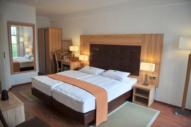 Business Double Room image 1