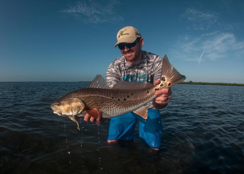 Black Dolphin Inn - image 13