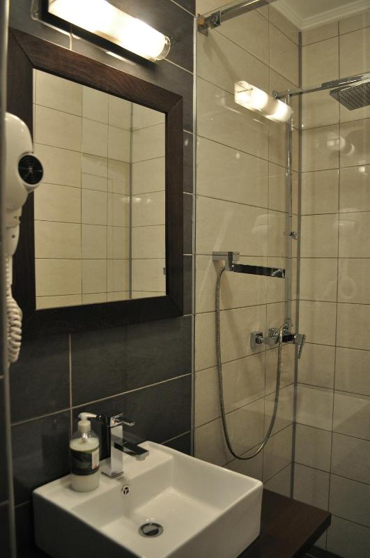 Single Room image 3