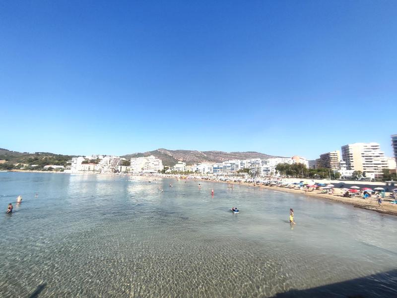 APCOSTAS Palmavera Playa de la Conxa - image 46