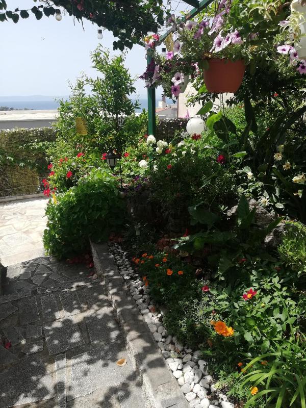 Apartments and rooms with parking space Makarska - 6767 - image 2