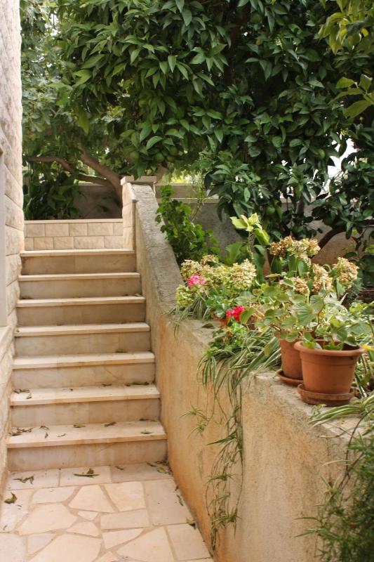 Apartments with WiFi Supetar Brac - 5667 - image 29
