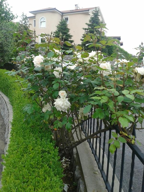 Apartments with parking space Rijeka - 13377 - image 16