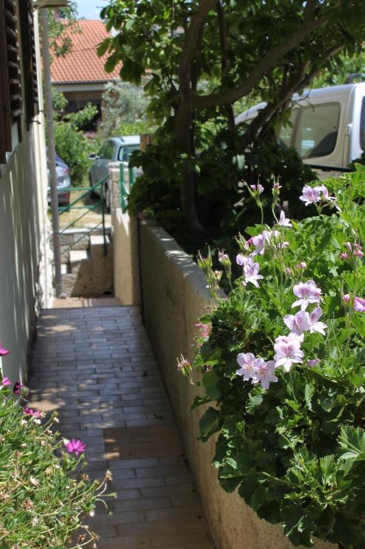 Apartments and rooms with parking space Mali Losinj (Losinj) - 2497 - image 6