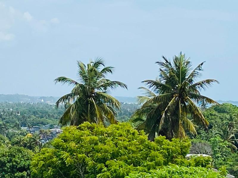 Vista Madiha - image 12