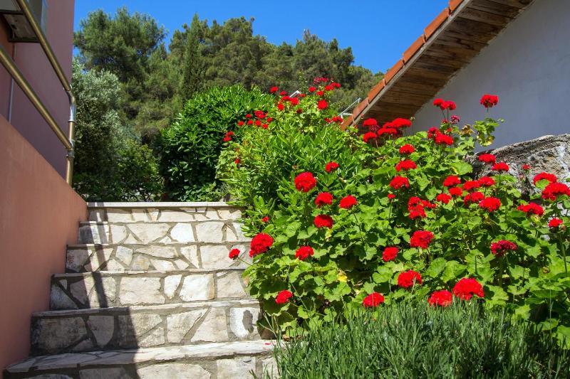 Apartments by the sea Mali Losinj (Losinj) - 2489 - image 22