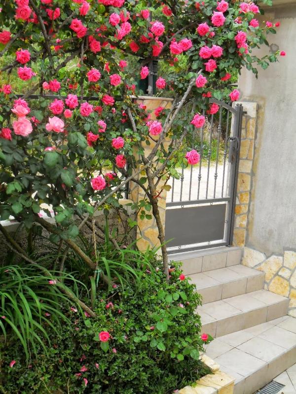 Family-friendly apartments with swimming pool Mastrinka Ciovo - 22372 - image 16