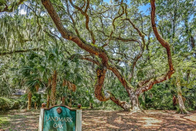 2055 Beach Wood - image 37