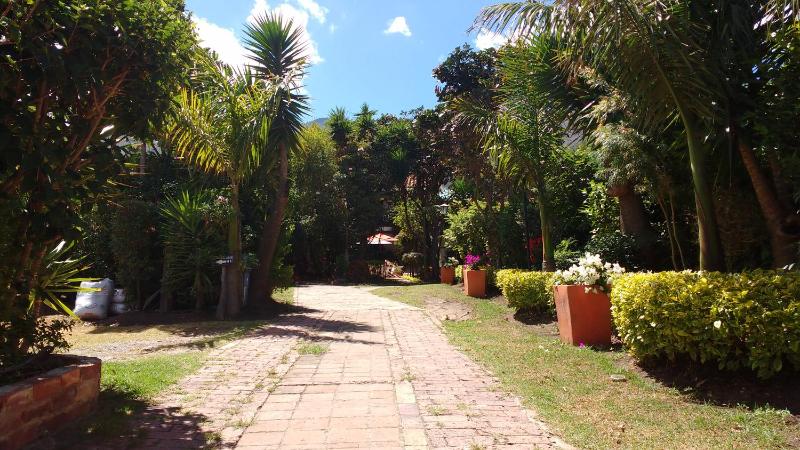 Hotel Spa Villa Lina - image 8