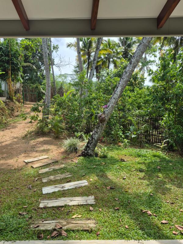 the cinnamon home - image 5