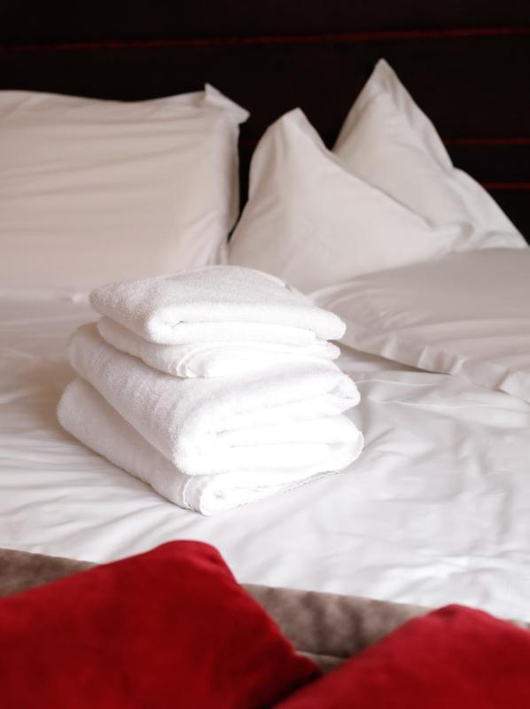 Old Town Hotel - image 11