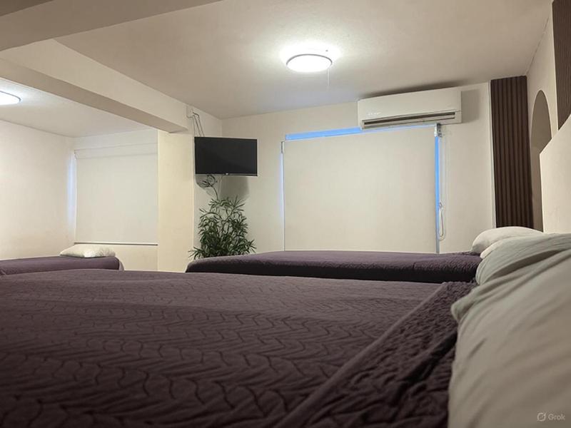 Hotel Miramar - La Paz - image 2