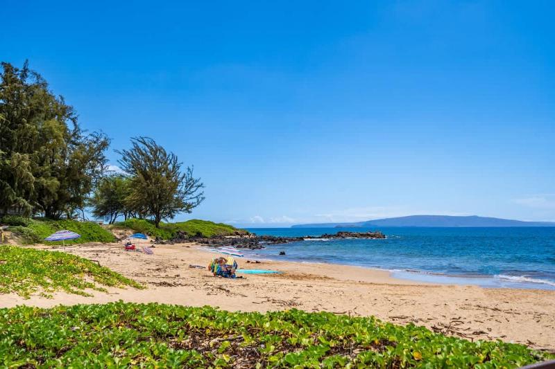Beachside Retreat Walk to Shops & Dining - image 31