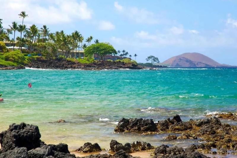 Beachfront Studio Walk to Kamaole Beach Pools - image 22