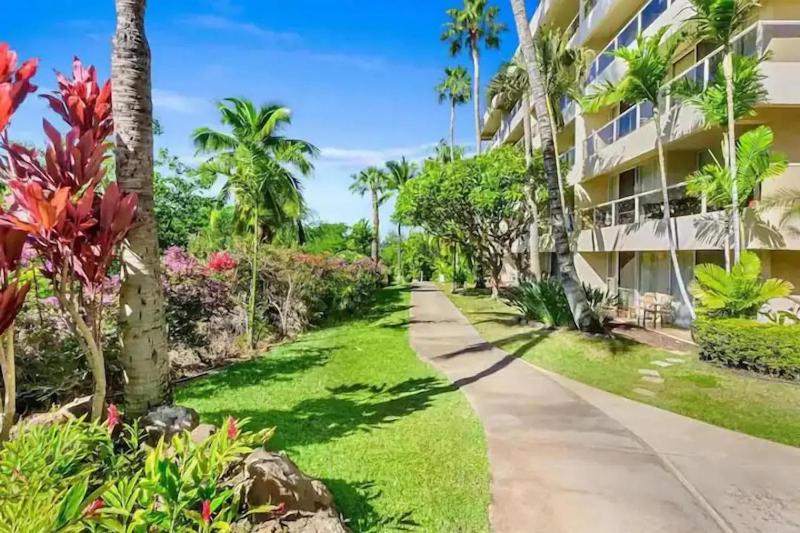 Beachfront Studio Walk to Kamaole Beach Pools - image 27