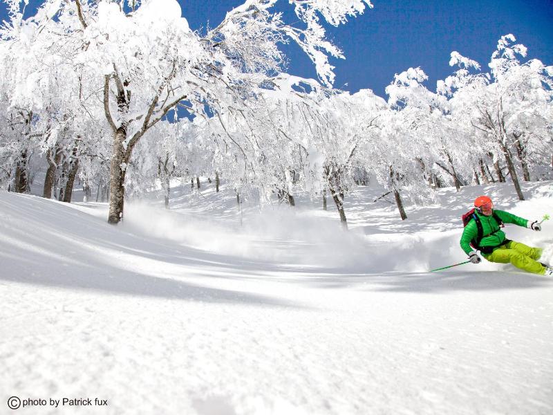 Hotel Green Plaza Hakuba - image 12