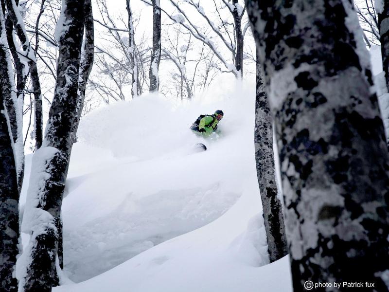 Hotel Green Plaza Hakuba - image 40
