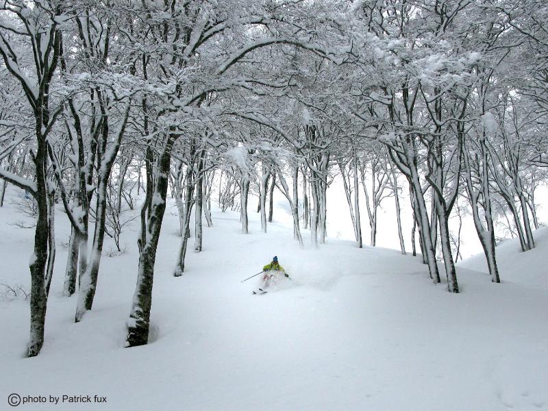 Hotel Green Plaza Hakuba - image 35
