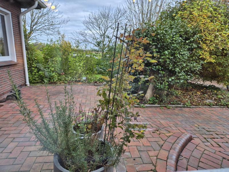 Ferienhaus Friesennest - image 18