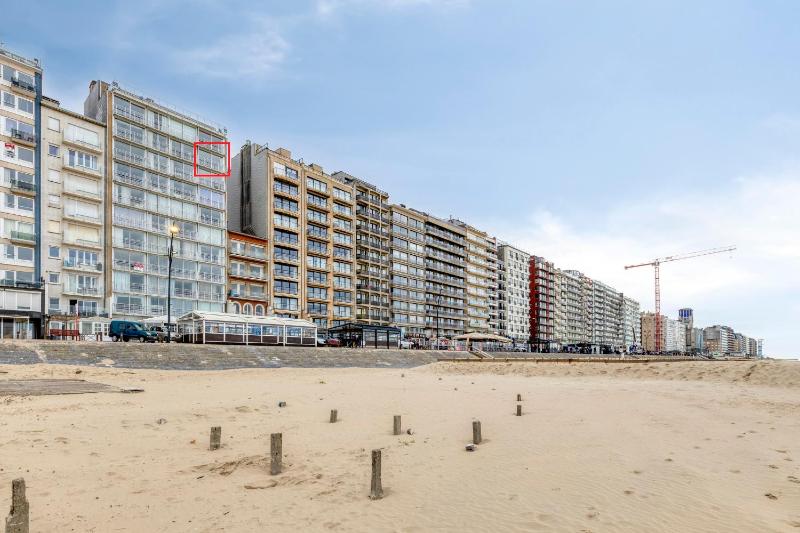 Nordic C9 - image 9
