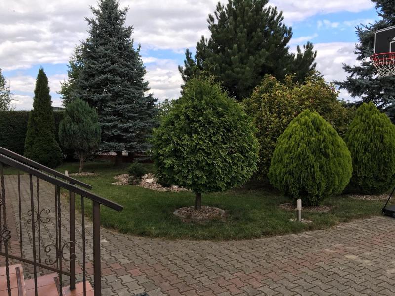 Two-Bedroom Apartment image 4