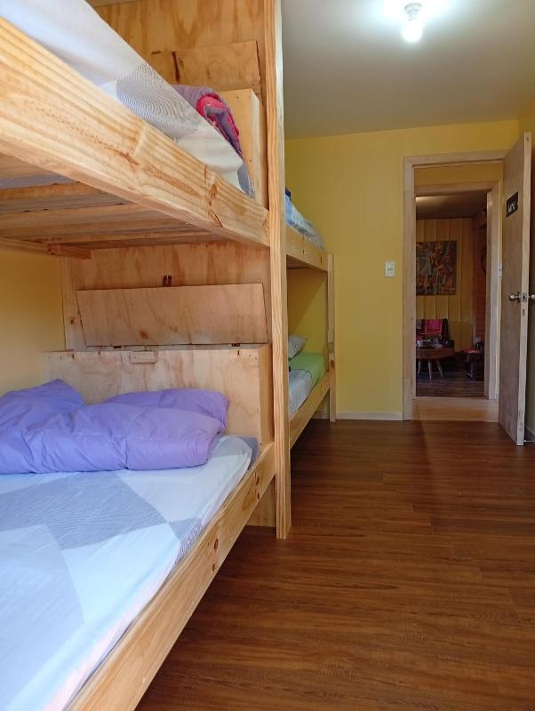 Willhouse Hostel - image 37