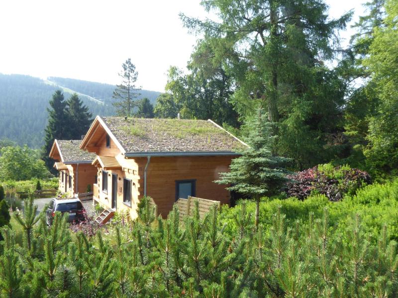 Harz - Blockhaus mit Sauna und Kamin 4 und 5 Sterne CH - image 30