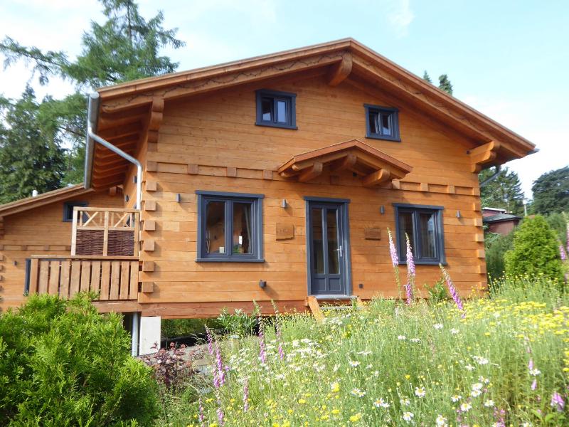 Harz - Blockhaus mit Sauna und Kamin 4 und 5 Sterne CH - image 8