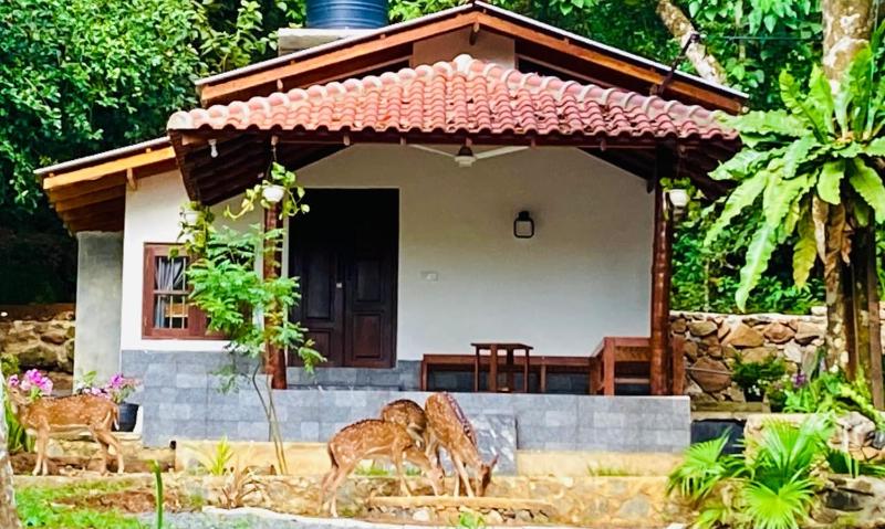 Deer House Hiriketiya - image 18