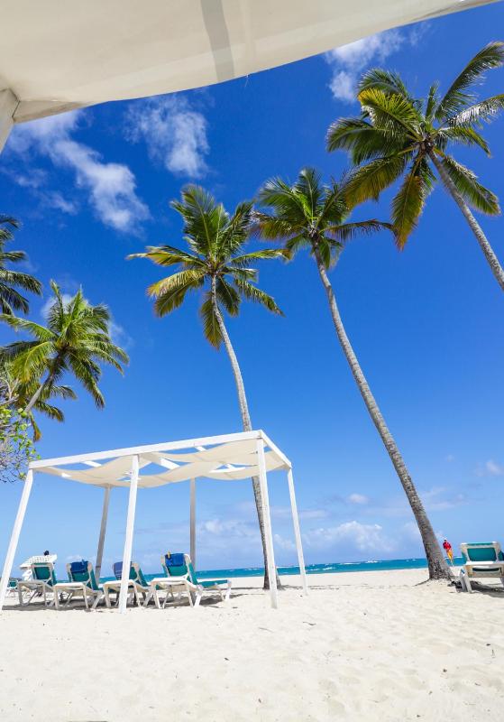 Emotions by Hodelpa Puerto Plata - image 17