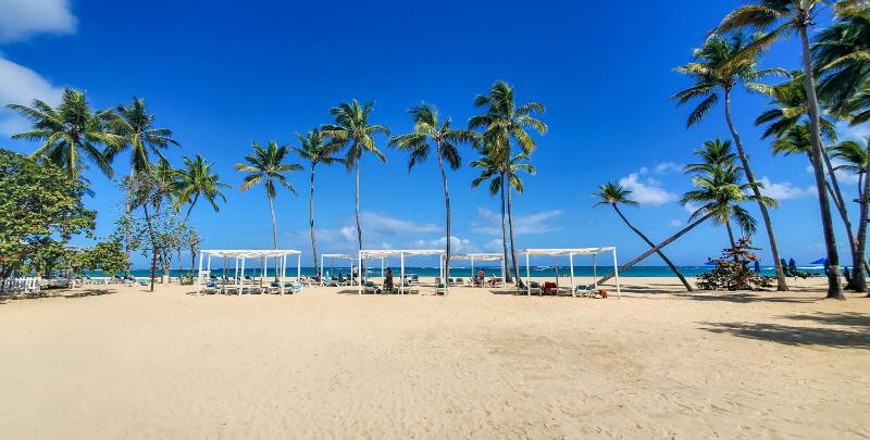Emotions by Hodelpa Puerto Plata - image 15