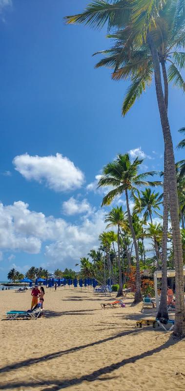 Emotions by Hodelpa Puerto Plata - image 36
