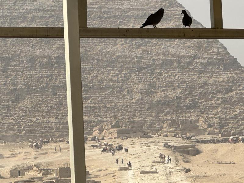 Pyramids Glory Inn - image 4