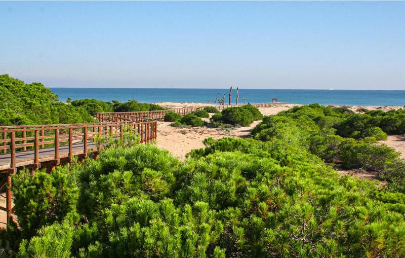 Lovely Apartment In Santa Pola With Swimming Pool - image 10