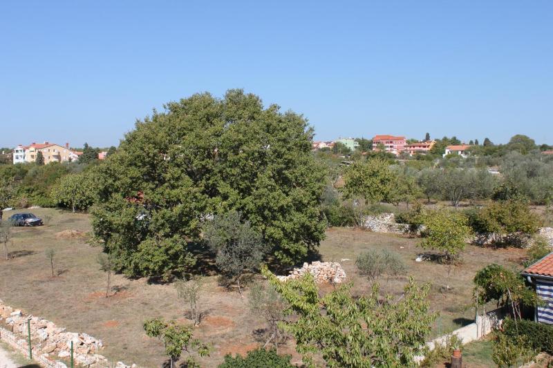 Apartments with parking space Fazana - 7252 - image 7