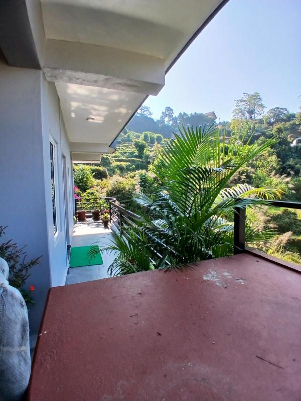 JAP Guest House & Apartments - image 10