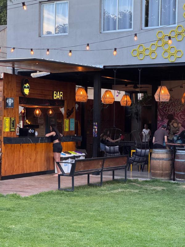 Gorilla Hostel - image 7