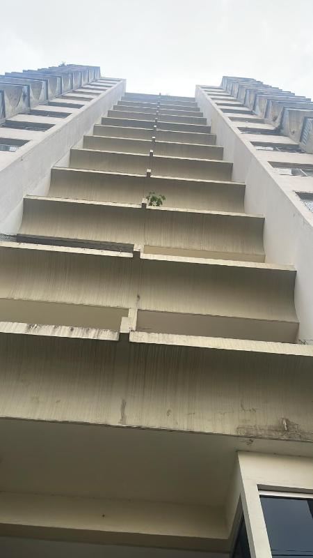 Apartamento aconchegante - image 15