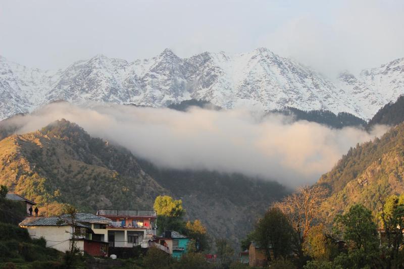 Shiva Stays - image 18